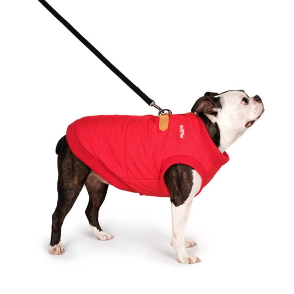 Harness Jacket Red