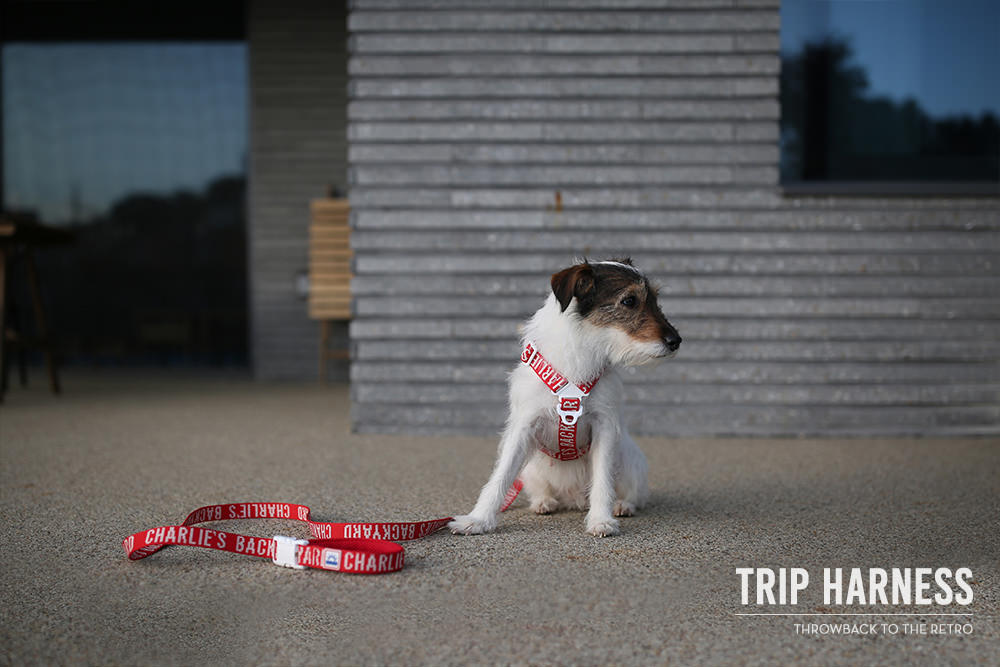 Trip Harness Hundegeschirr Rot Key Visual