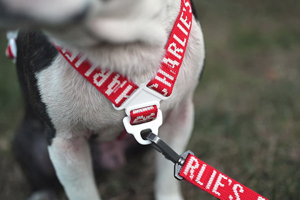 Trip Harness Hundegeschirr Rot No-Pull Verschluss
