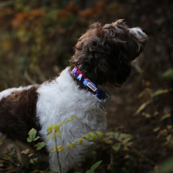 Rover Collar (Hundehalsband)