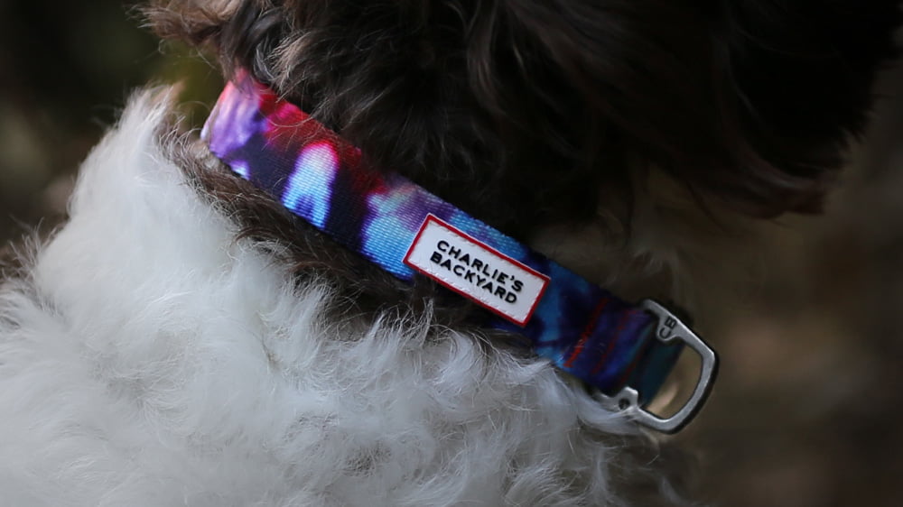 Rover Collar D-Ring (Hundehalsband)