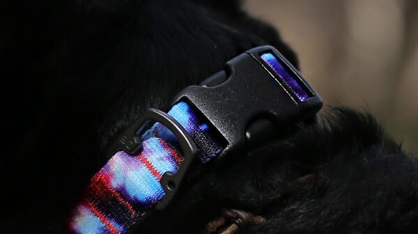 Rover Collar Verschluss (Hundehalsband)