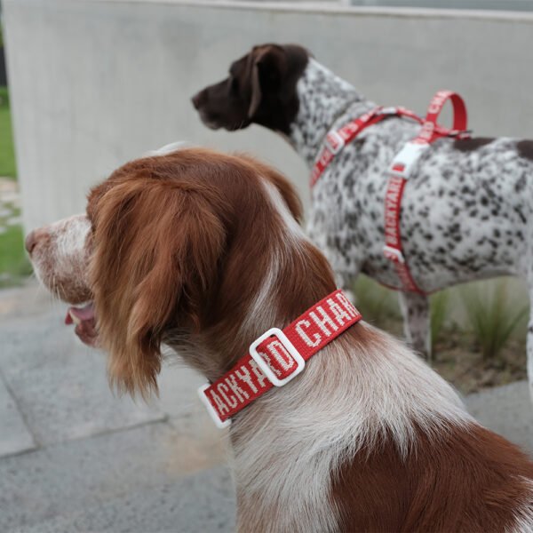 Trip Collar Red (Hundehalsband)