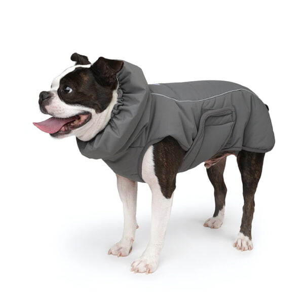 Raptor Jacket mit Hund Grau